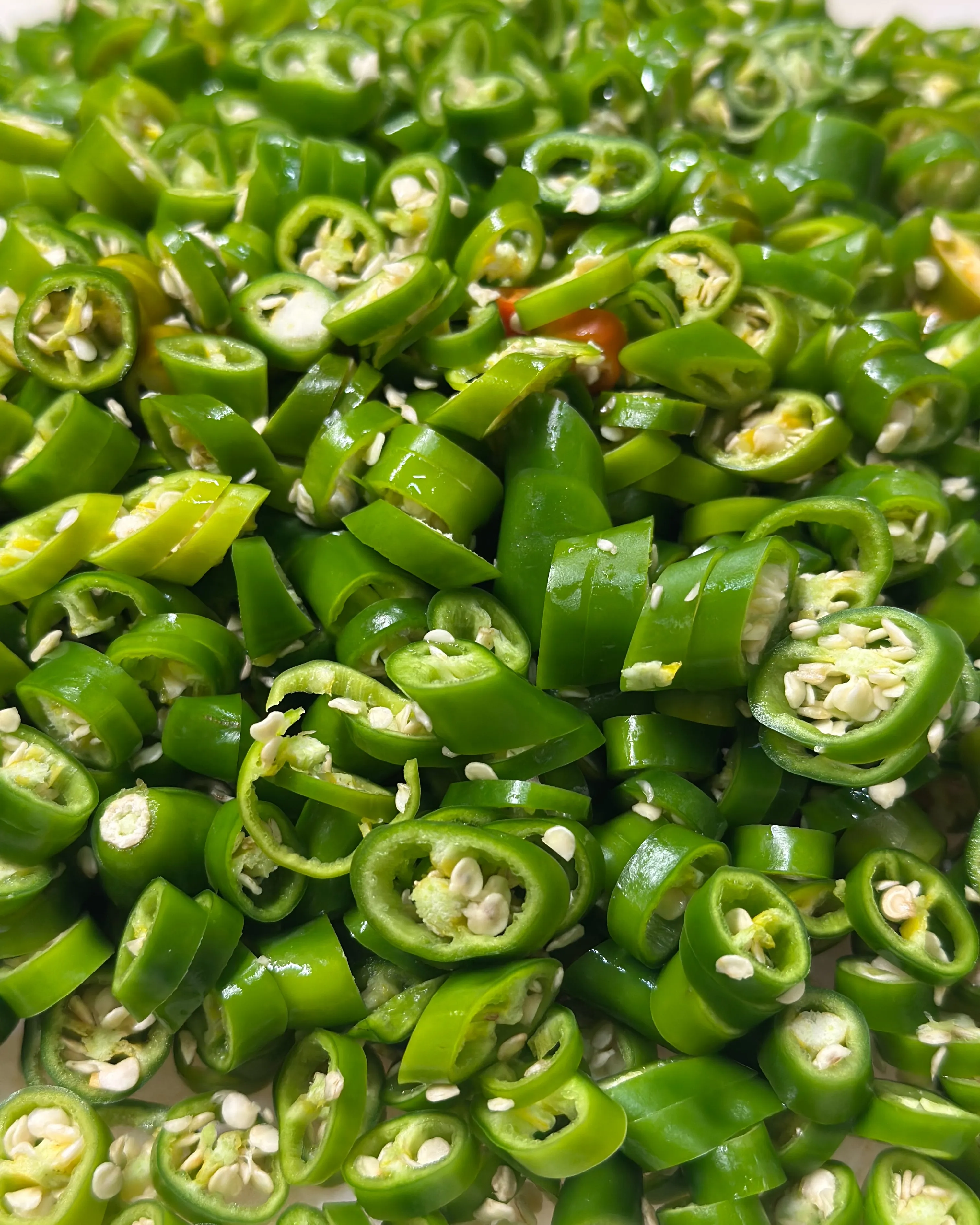 🌶️ 今が旬の、沖縄県産青唐辛子