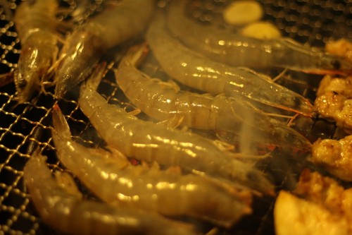 shrimp-499254_960_720