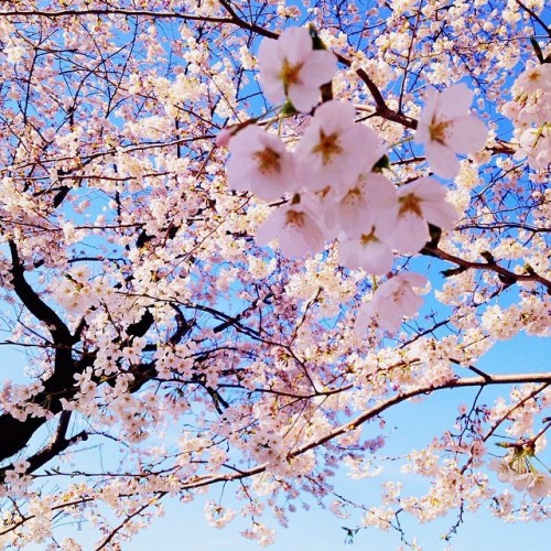 13536423713_4a78f9df5e_z