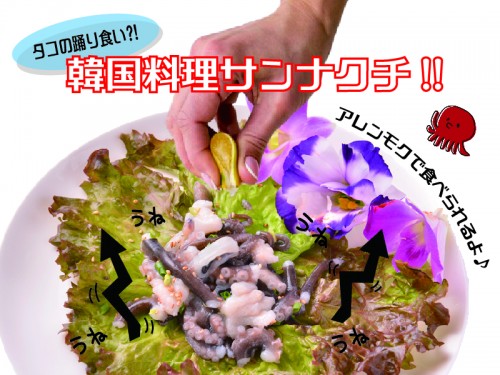 サンナッチ_アートボード 1