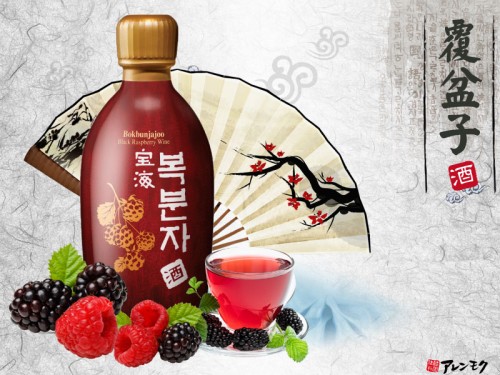 20220520_SNS_覆盆子（ボクブンジャ）導入しました！！